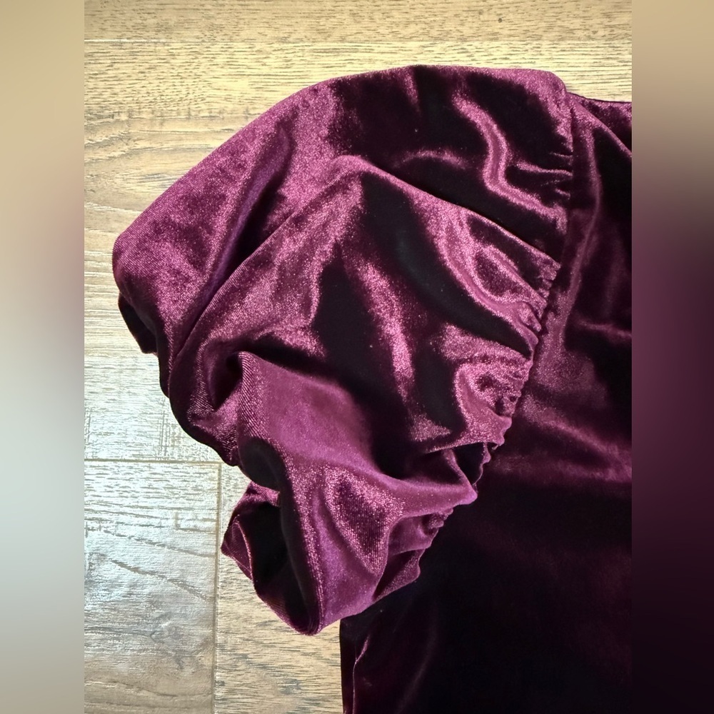 G J O Burgundy Velvet Short Sleeve Dress Size S